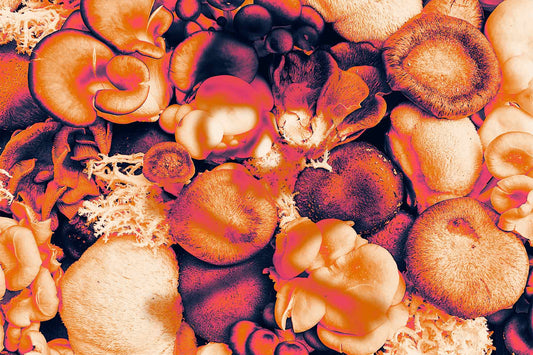 The Truth About Orange Juice and Shrooms: Myths, Science, and What Really Matters