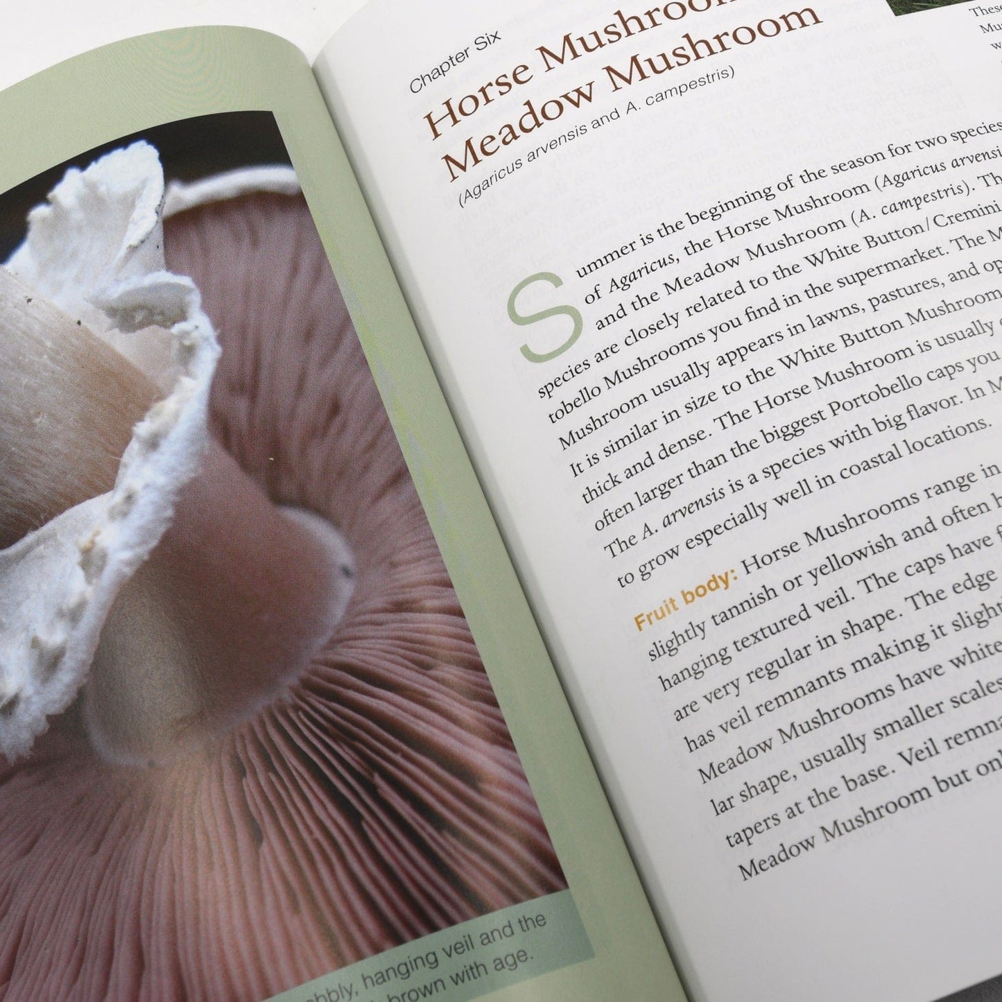 Edible & Medicinal Mushrooms of New England