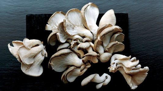 How to Grow Mushrooms at Home: A Step-by-Step Guide for Beginners