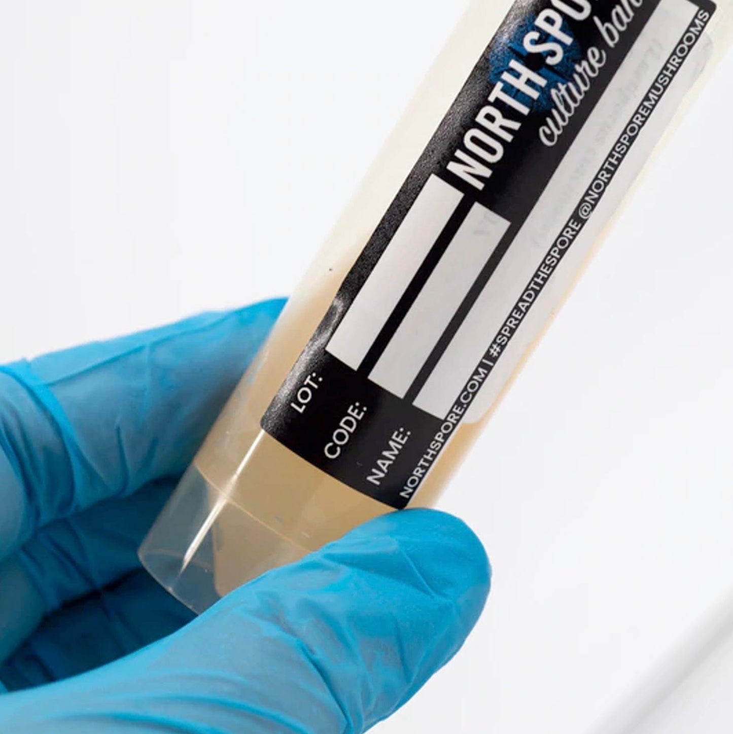 Blue Oyster Mushroom Slant Culture