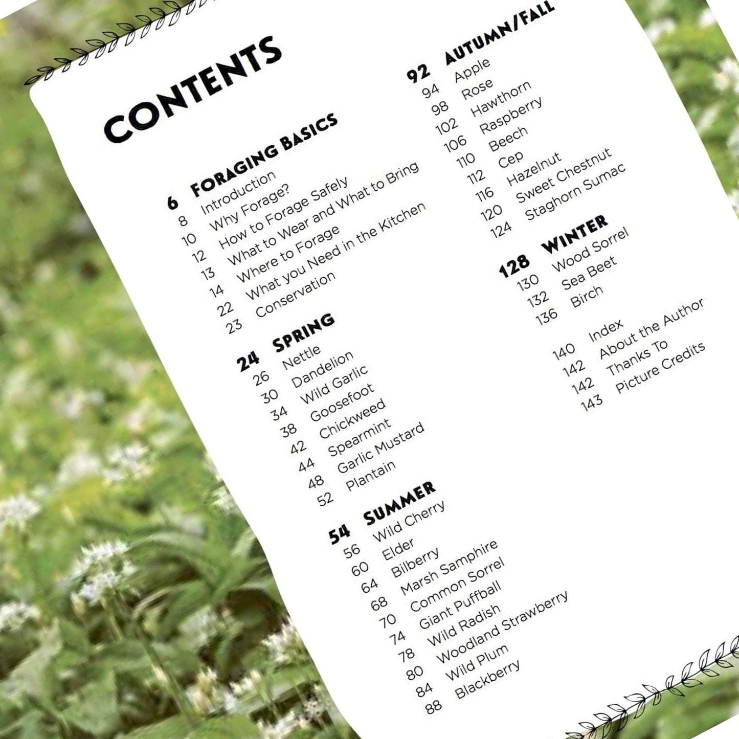 Family Foraging: A Fun Guide to Eating Wild Plants