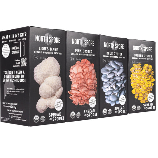 Wholesale | Organic 'Spray & Grow' Mushroom Kits